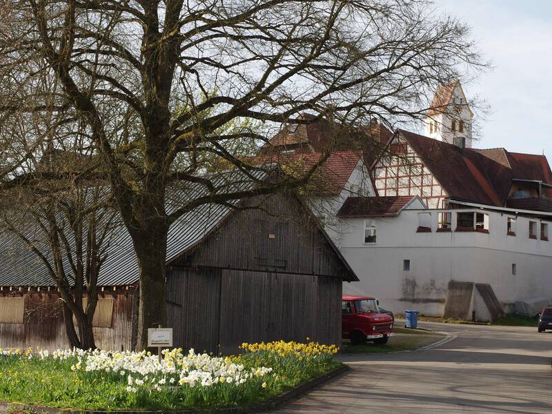 Eine malerische Dorfstraße mit blühenden Narzissen, einem großen Baum, einem Holzschuppen und einem Fachwerkhaus mit dem Kirchturm von Bußmannshausen im Hintergrund.