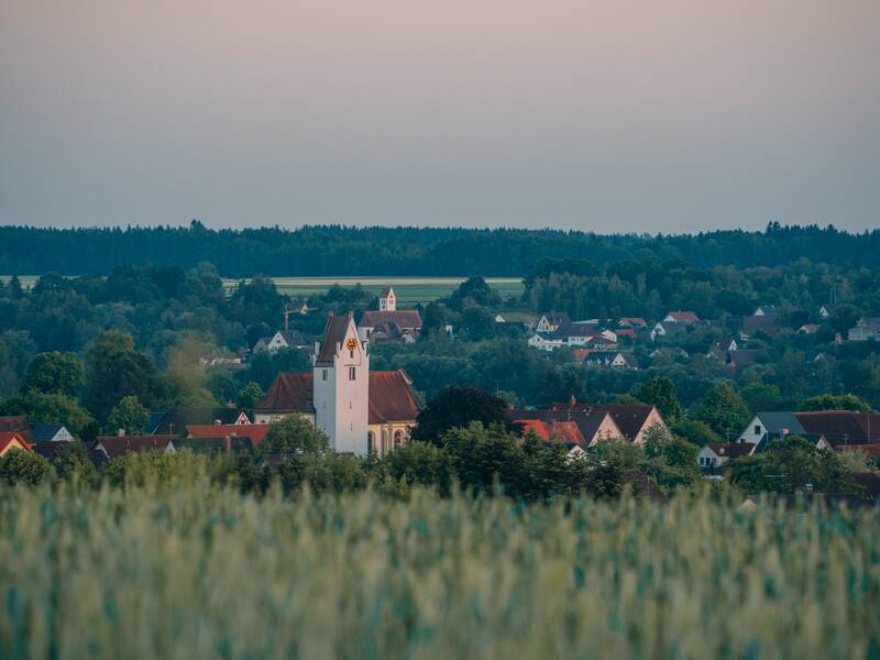 Ein weites Kornfeld im Vordergrund mit einem Dorf im Hintergrund, das von Bäumen umgeben ist und in dem eine Kirche herausragt.