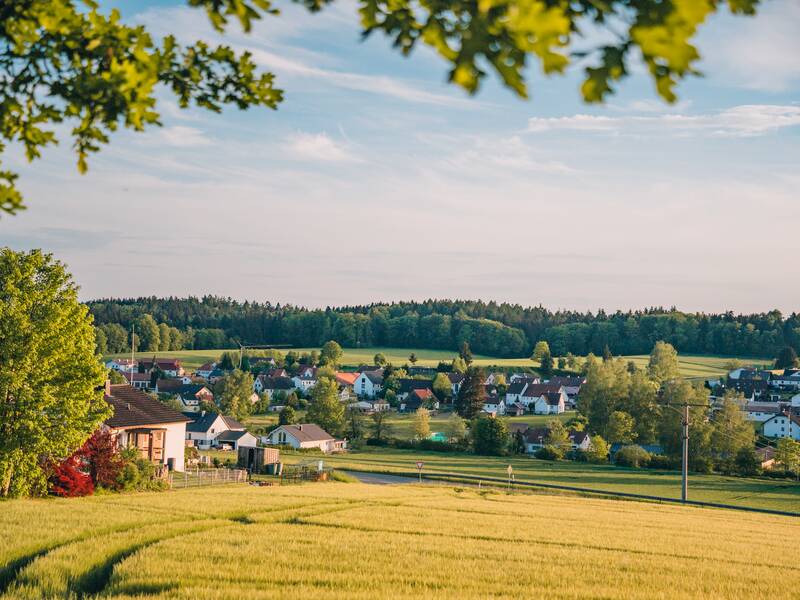 Eine ländliche Landschaft mit Blick auf Schönebürg, umgeben von grünen Feldern und Bäumen unter einem blauen Himmel.