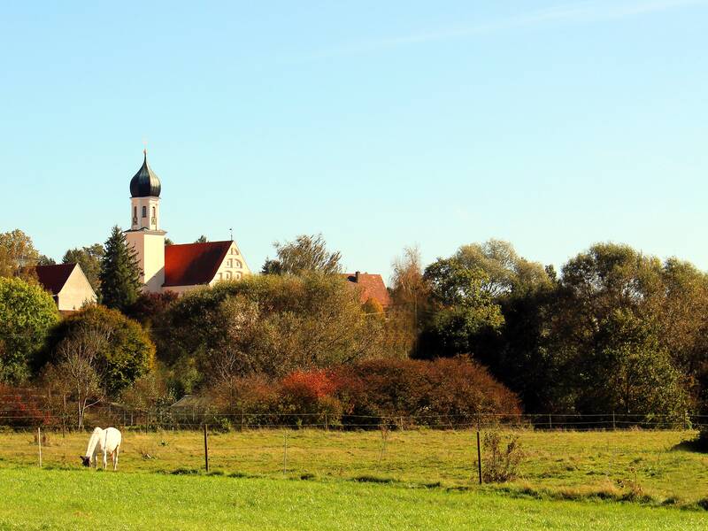 Bild einer Pferdekoppel, im Hintergrund eine Reihe von Büschen und Bäumen die voll mit Laub sind. Dahinter sind drei Dächer zu sehen und ein Kirchturm mit Zwiebelturm.