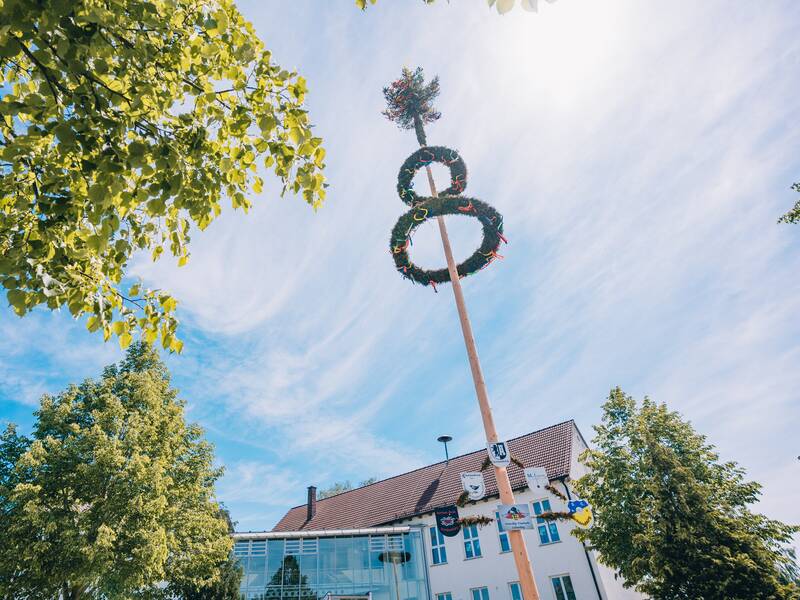Ein hoher Maibaum mit dekorativen Kränzen steht vor einem traditionellen Gebäude unter einem blauen Himmel mit einigen Bäumen im Vordergrund.