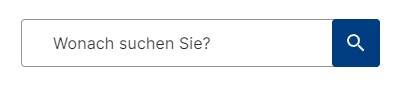 Die Suche