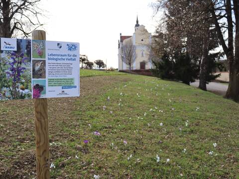 im Vordergrund links steht ein Schild auf dem das Logo des NABU und das Wappen der Gemeinde Schwendi sowie einige Bilder und zu sehen ist. Dahinter liegt eine Wiese auf der weiße, blaue und lilane Blüten zu sehen sind. Im Hintergrund sind Bäume und eine Kirche zu erahnen